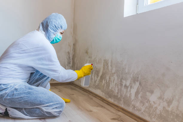 Bathroom Mold Removal assessment in Churchville bathroom